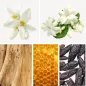 Preview: Duftnoten: Orangenblüte, Jasmin, Sandelholz, Honig, Tonkabohne